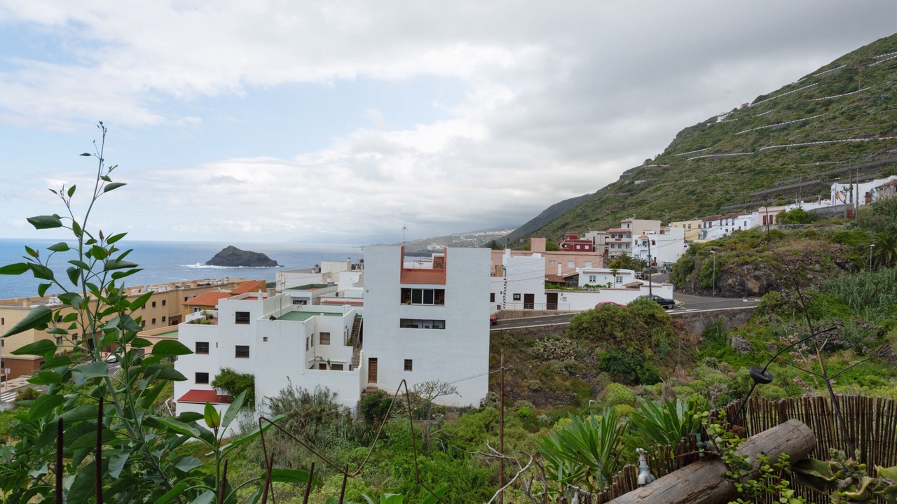 Photo of Outdoor in Garachico