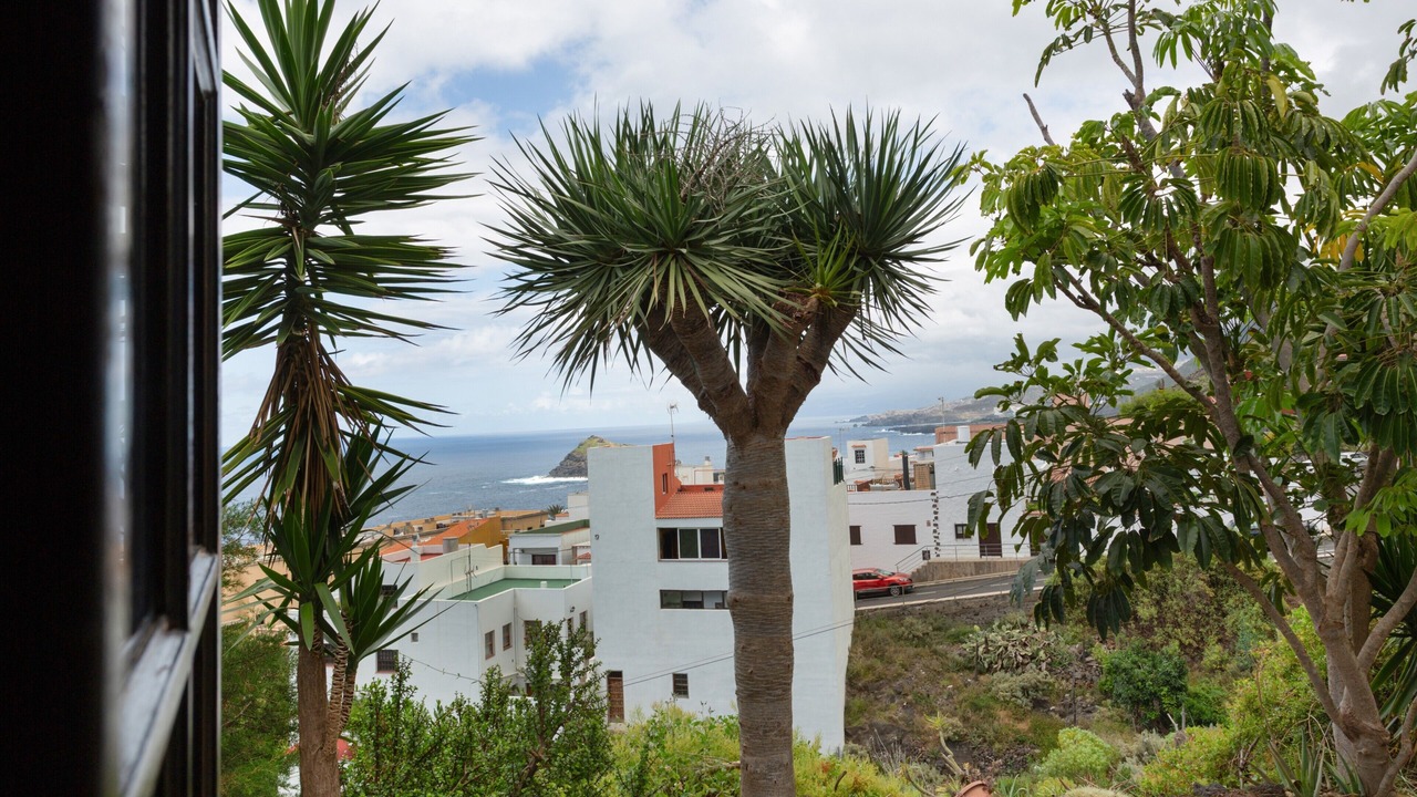 Photo of Others in Garachico