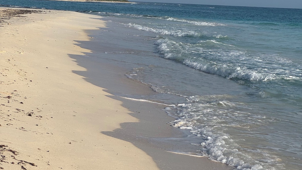 Photo of Others in Silver Sands