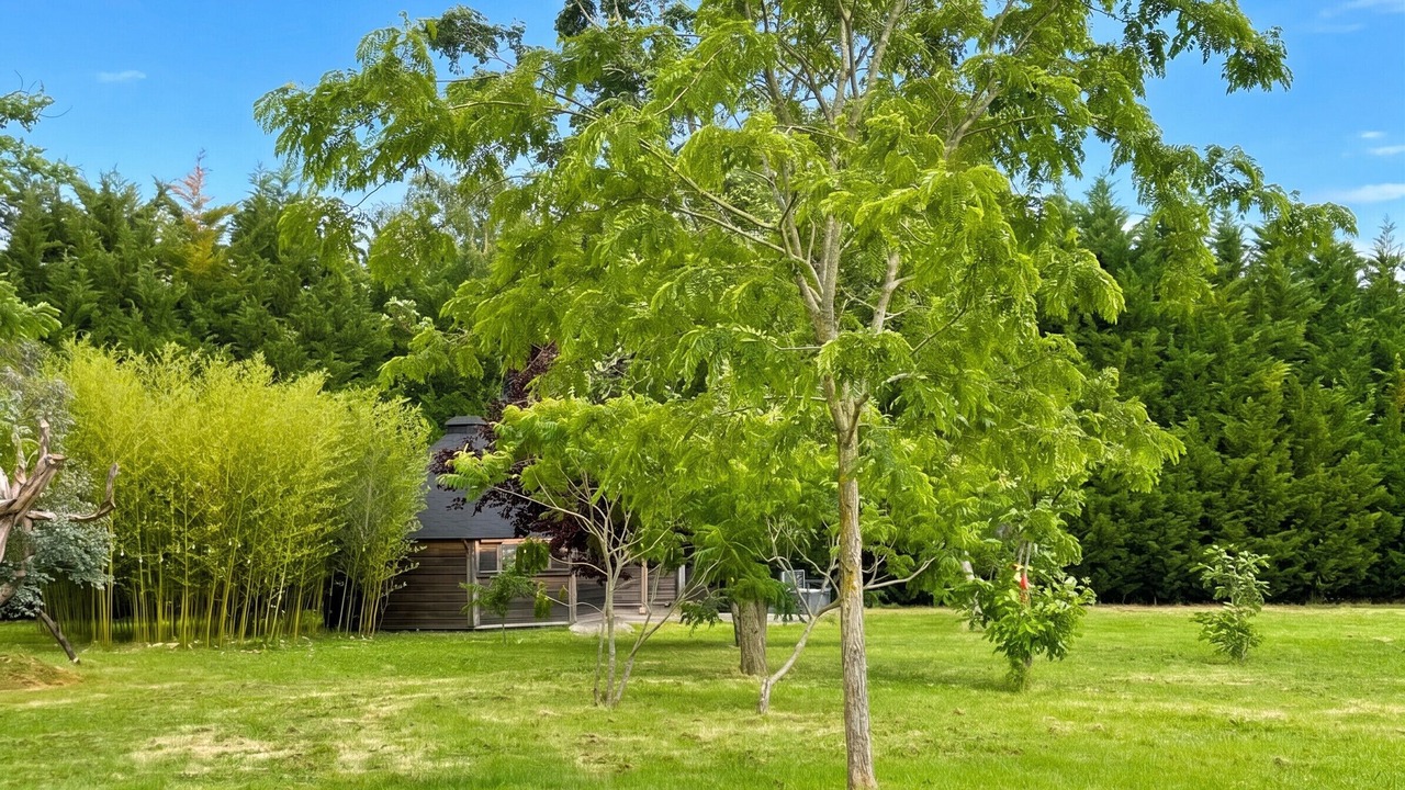 Photo of Outdoor in Chazemais