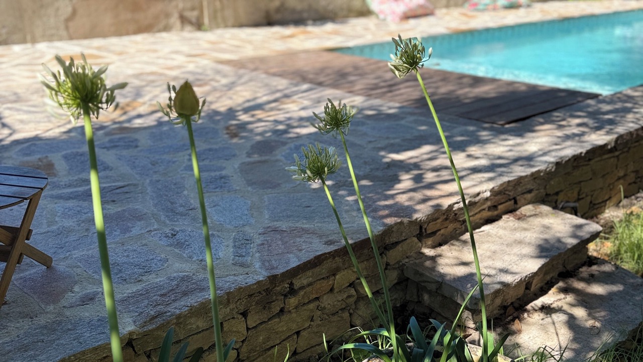 Photo of Outdoor in Pignans