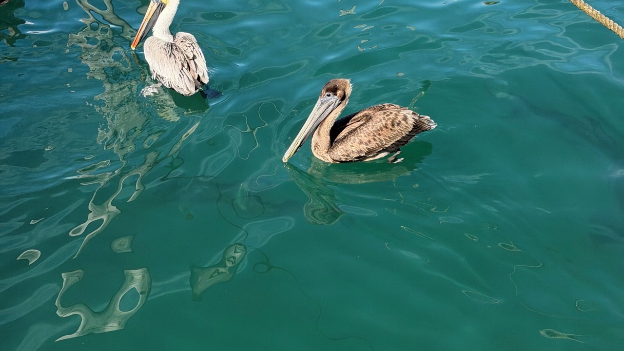 Photo of Others in North Miami