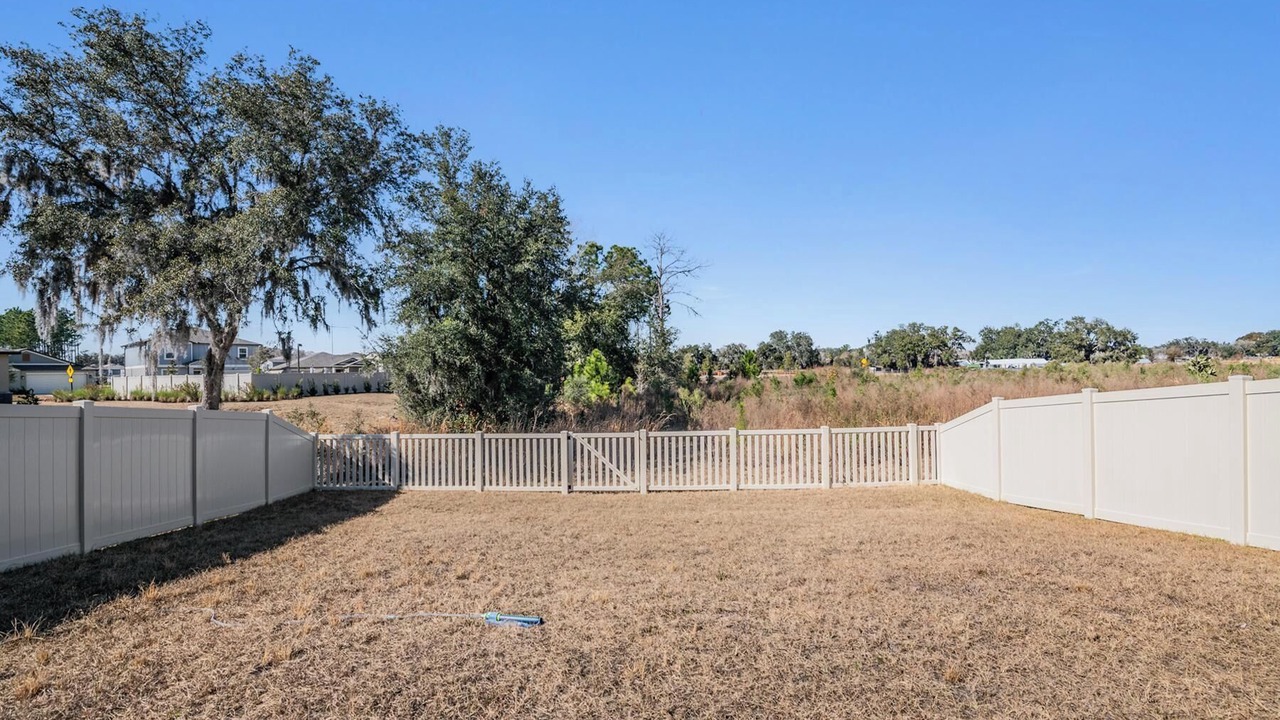 Photo of Outdoor in Zephyrhills