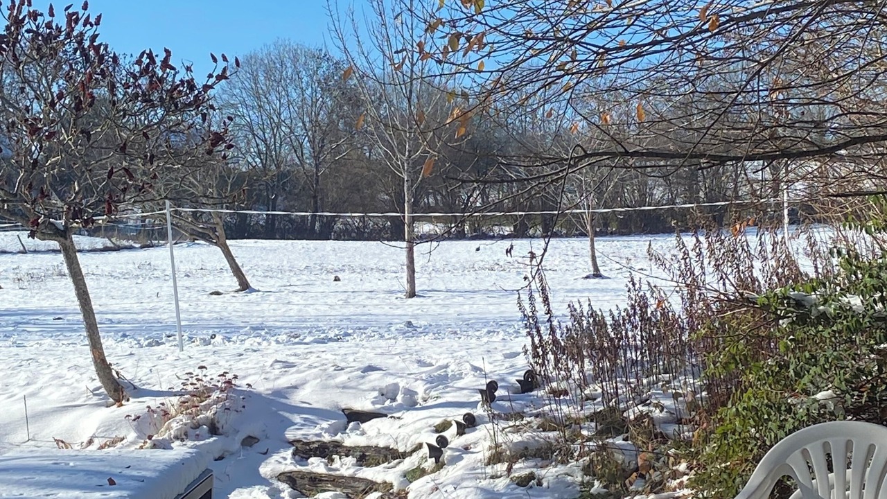 Photo of Outdoor in Innimond