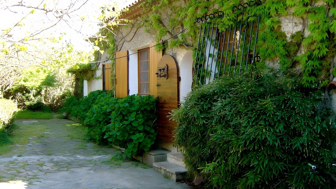 Photo of Outdoor in Le Brusc