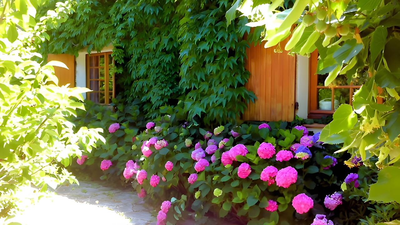 Photo of Outdoor in Le Brusc