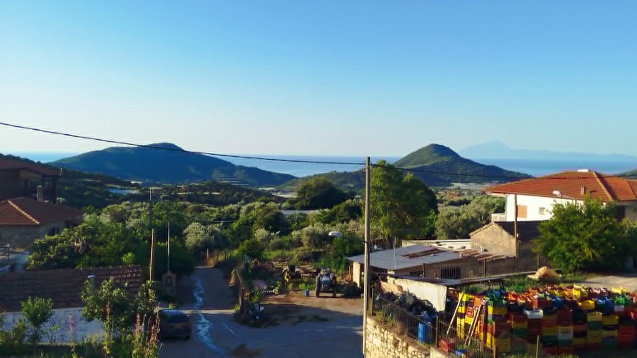 Photo of Others in Pangaio