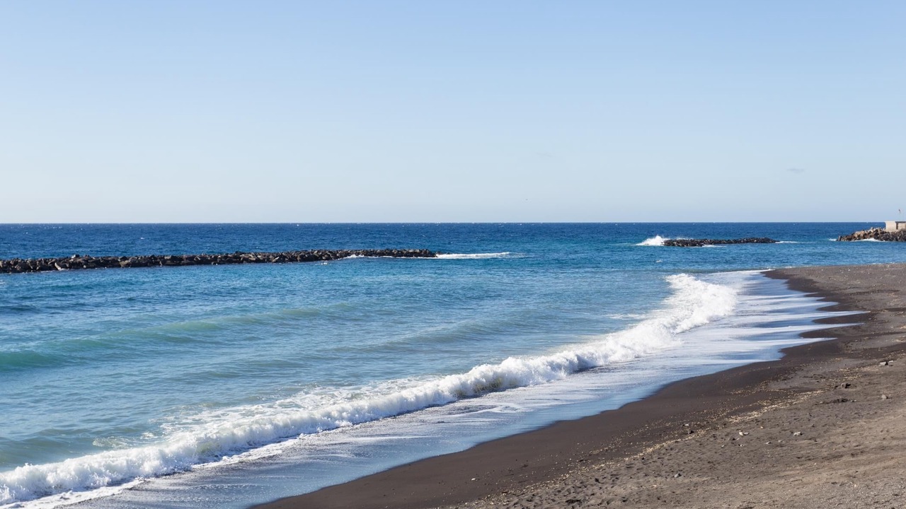 Photo of Others in Puerto de Guimar