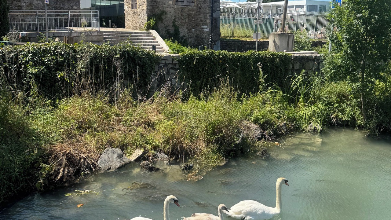 Photo of Others in Vienne