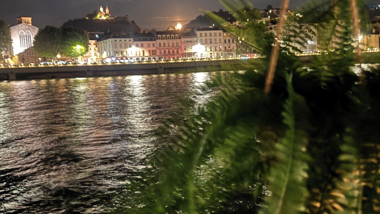 Photo of Others in Vienne