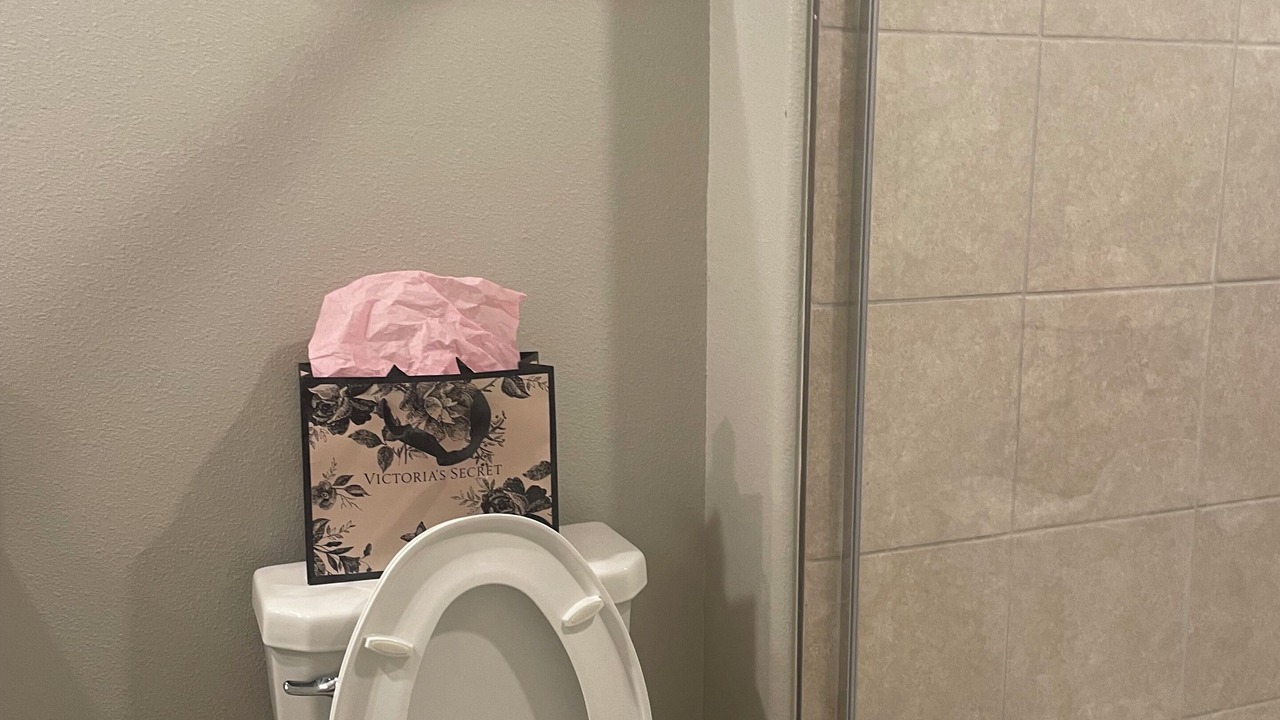 Photo of Bathroom in Wimauma