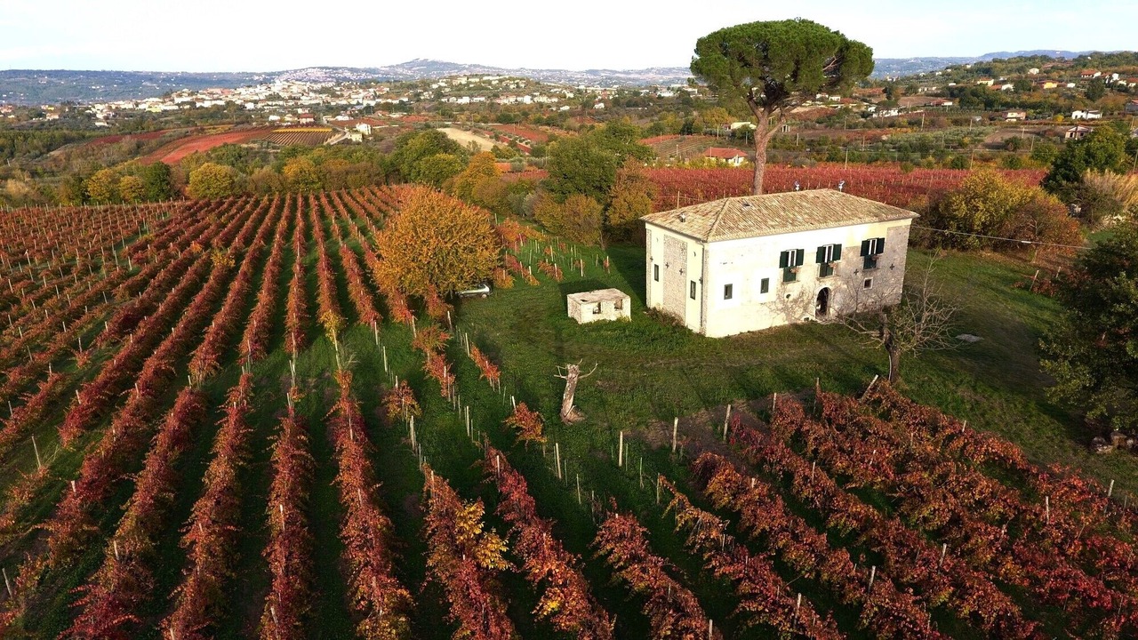 Photo of Outdoor in Paternopoli