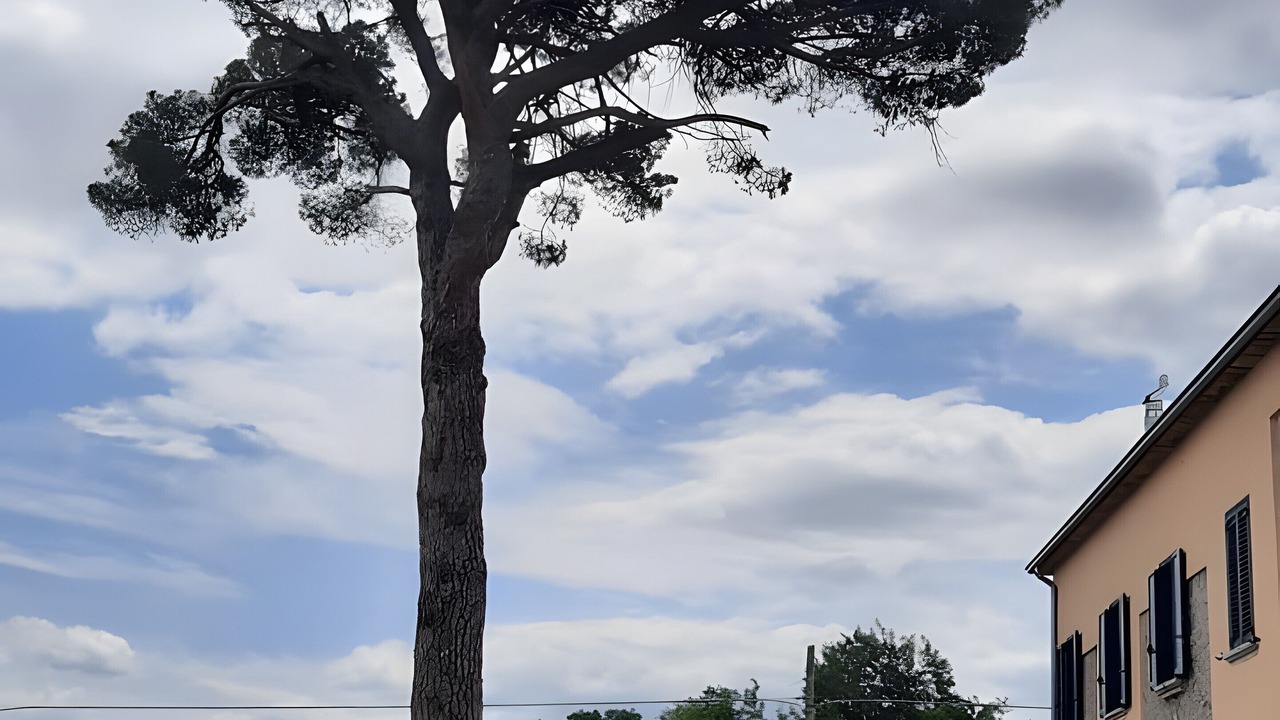 Photo of Outdoor in Paternopoli