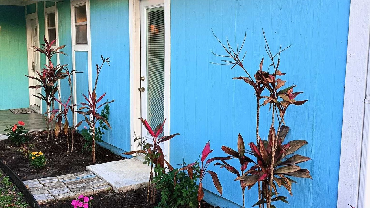 Photo of Outdoor in Lakeland