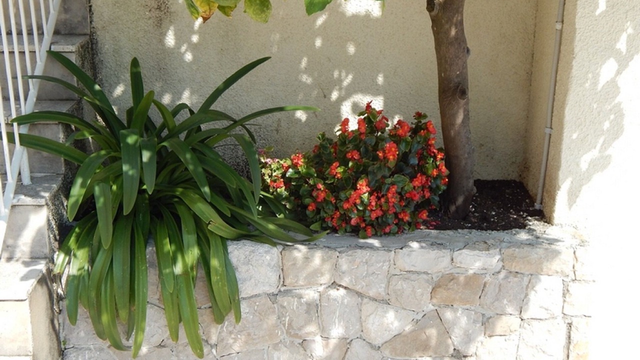 Photo of Outdoor in Babin Kuk