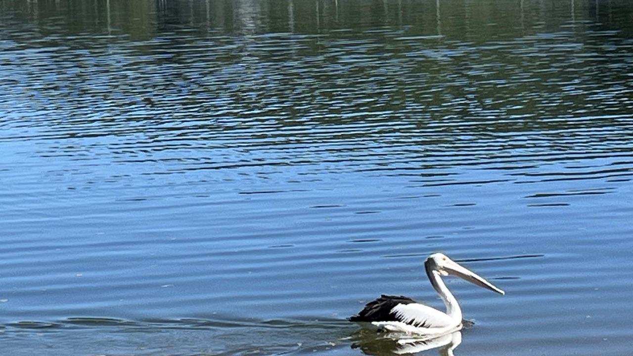 Photo of Others in Palm Beach