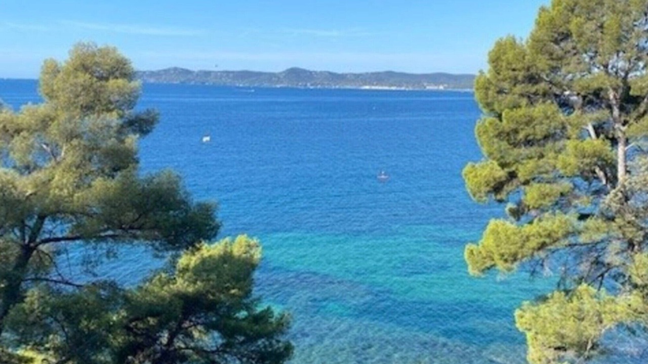 Photo of Others in Cavaliere