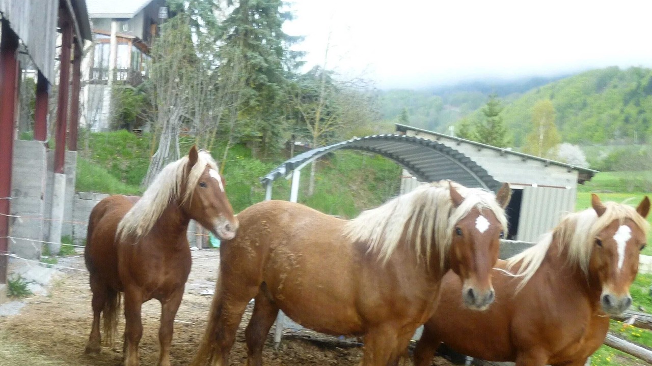 Photo of Others in Saint-Leger-les-Melezes