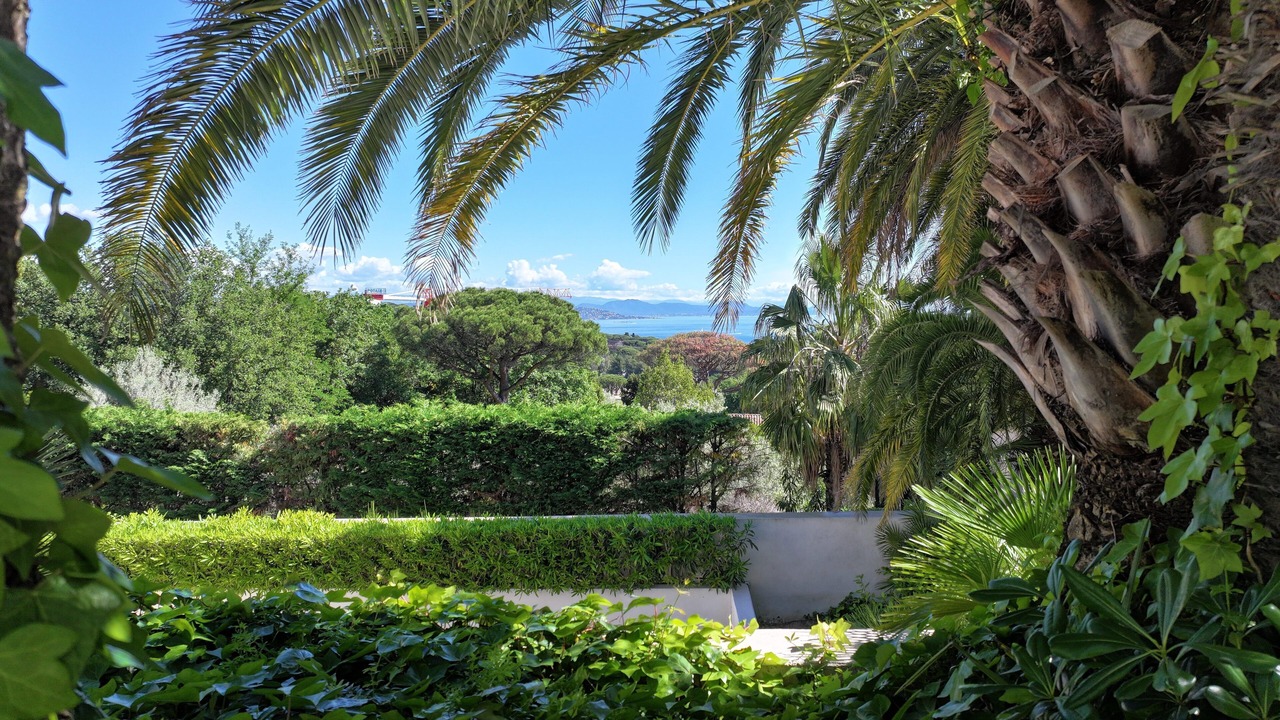 Photo of Outdoor in Saint-Tropez