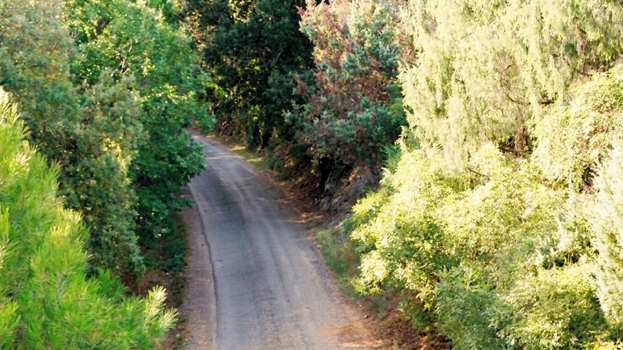 Photo of Others in Brue-Auriac