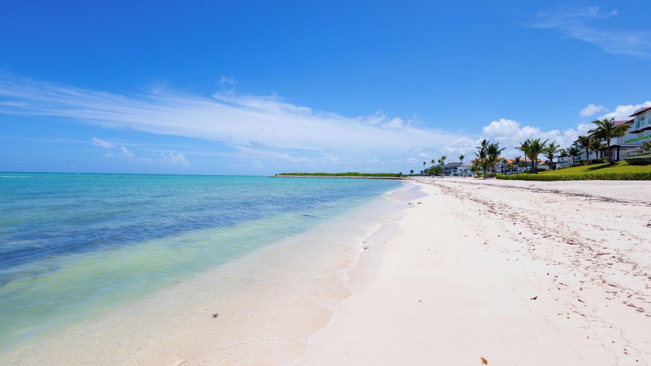 Photo of Others in Cap Cana Marina