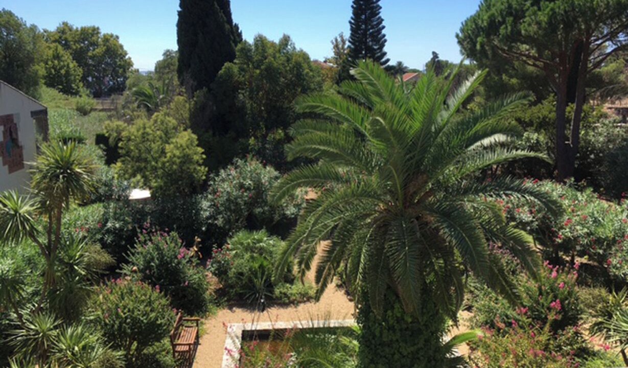 Photo of Outdoor in Cavaliere Beach