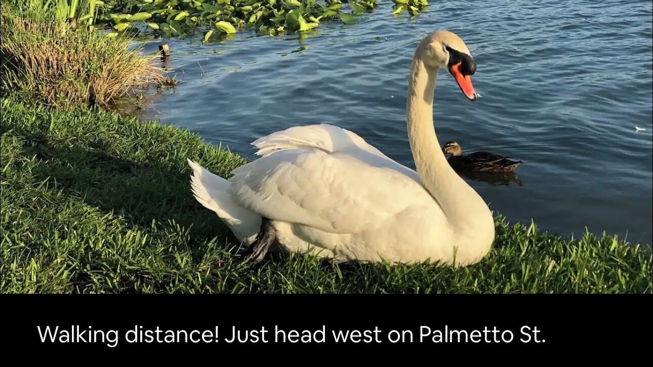 Photo of Others in Lakeland