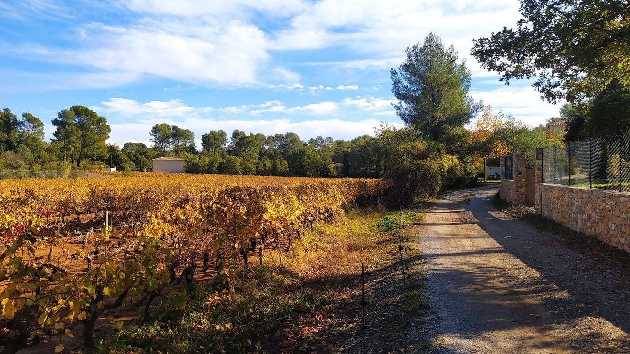 Photo of Others in Trans-en-Provence