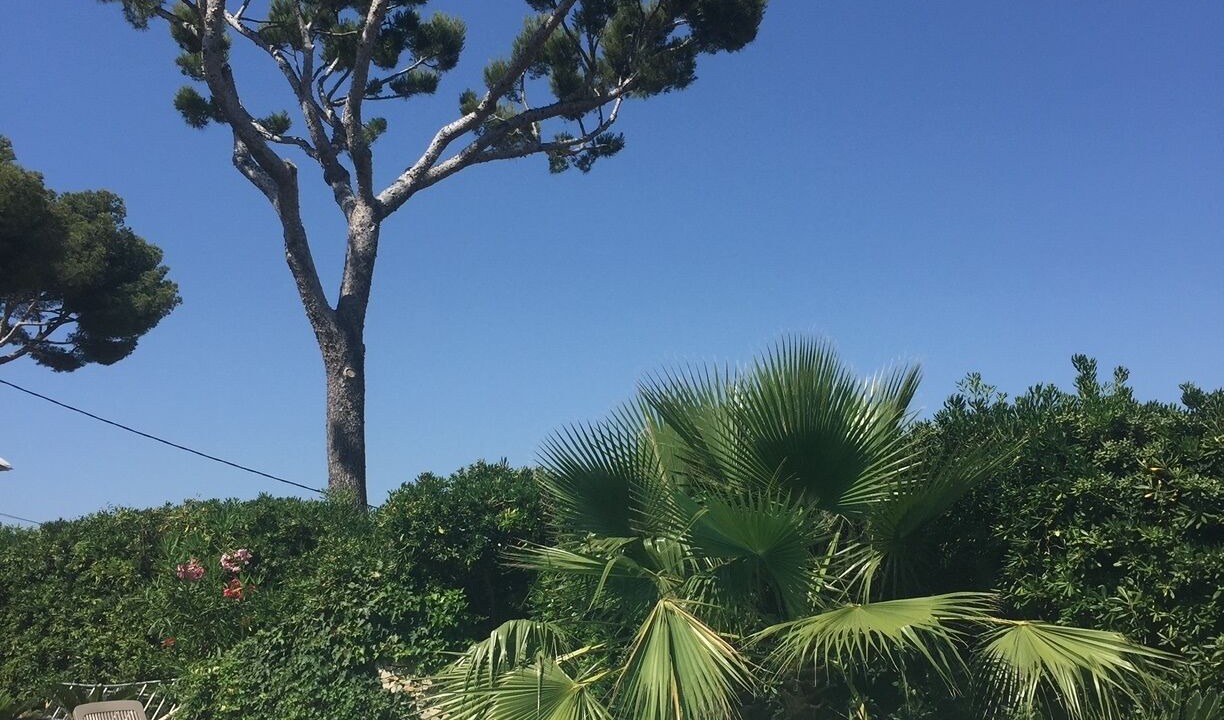Photo of Outdoor in Cassis