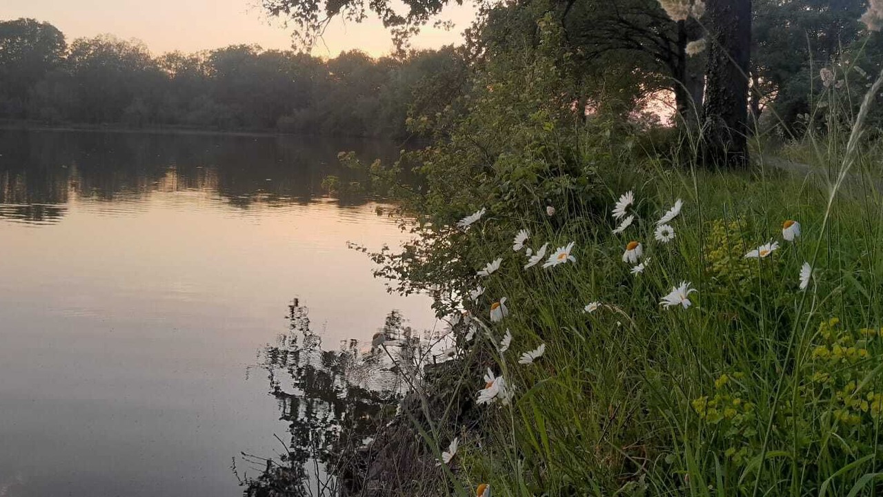 Photo of Outdoor in Archignat