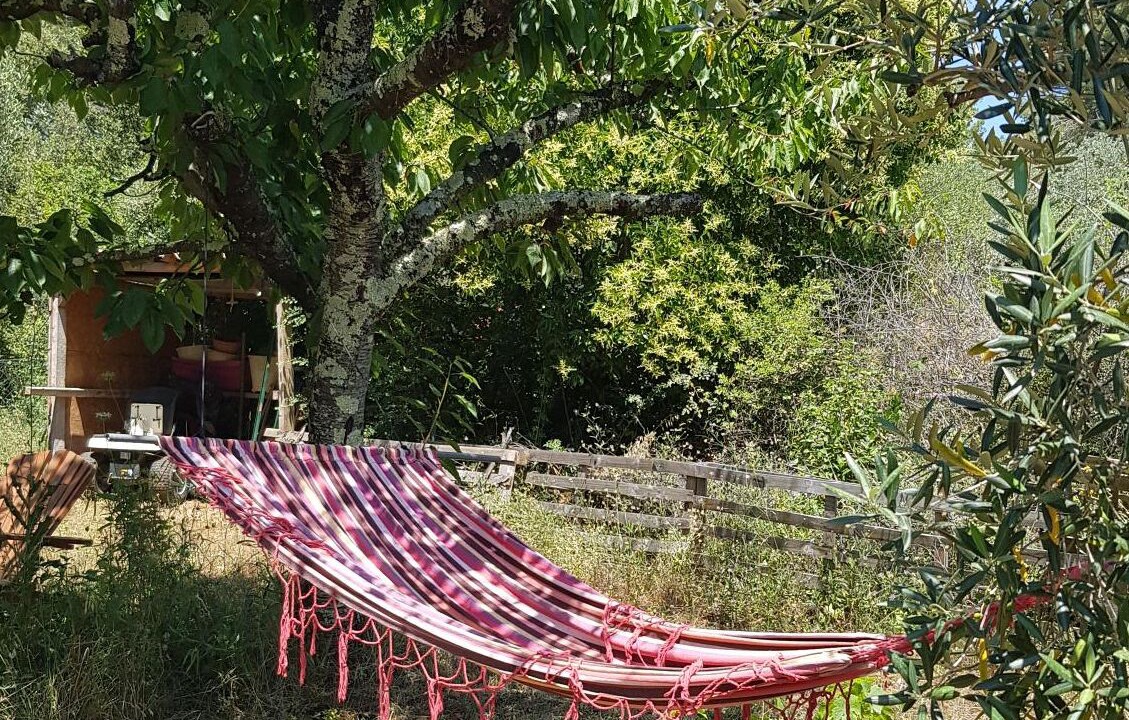 Photo of Outdoor in Draguignan