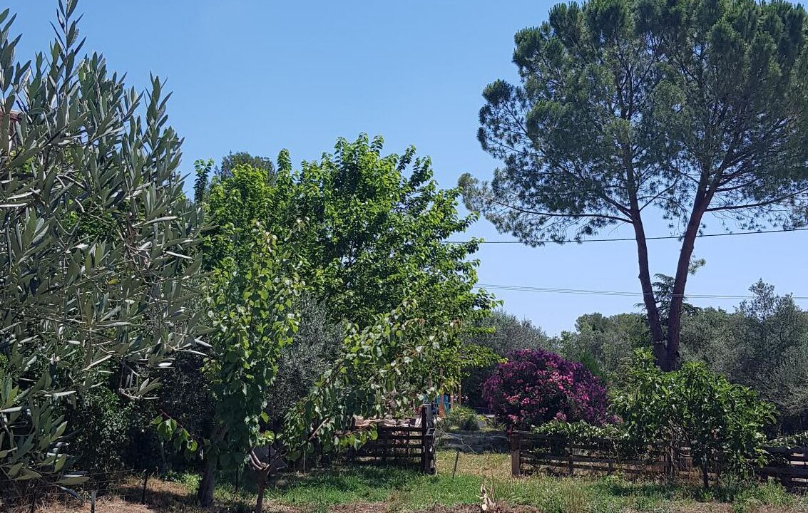 Photo of Outdoor in Draguignan