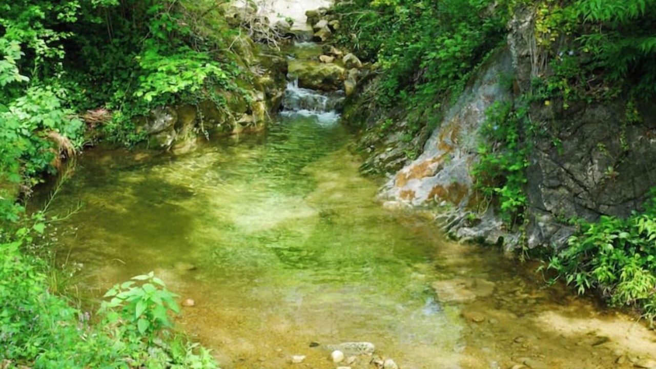 Photo of Outdoor in Callas