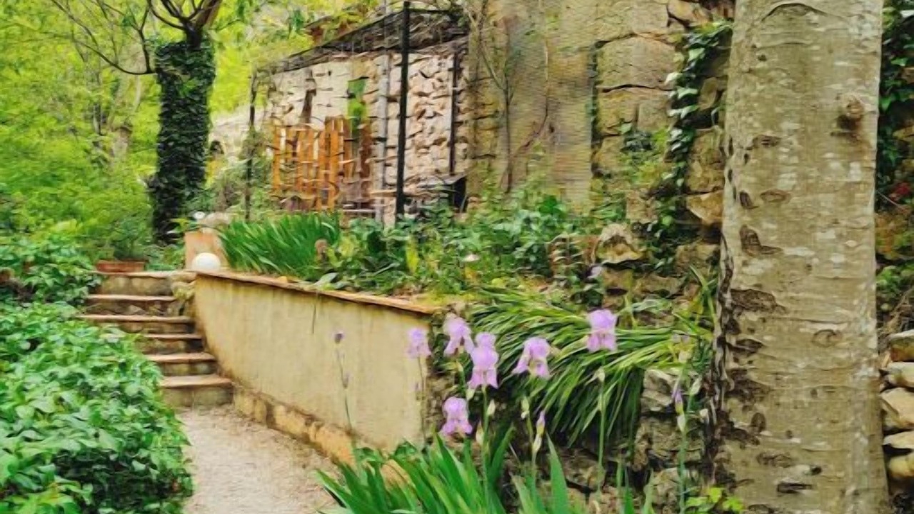 Photo of Outdoor in Callas