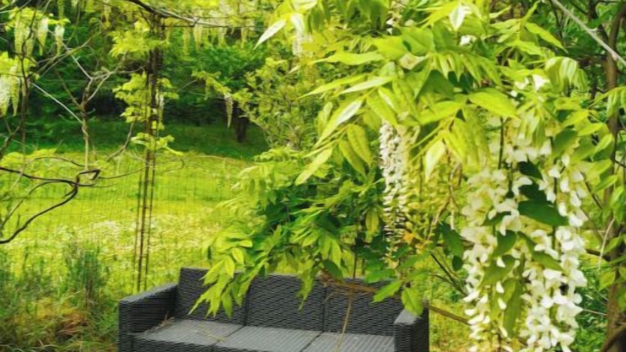 Photo of Outdoor in Callas