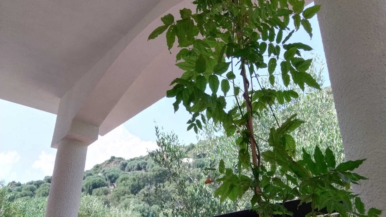 Photo of Outdoor in Marina di Pisciotta