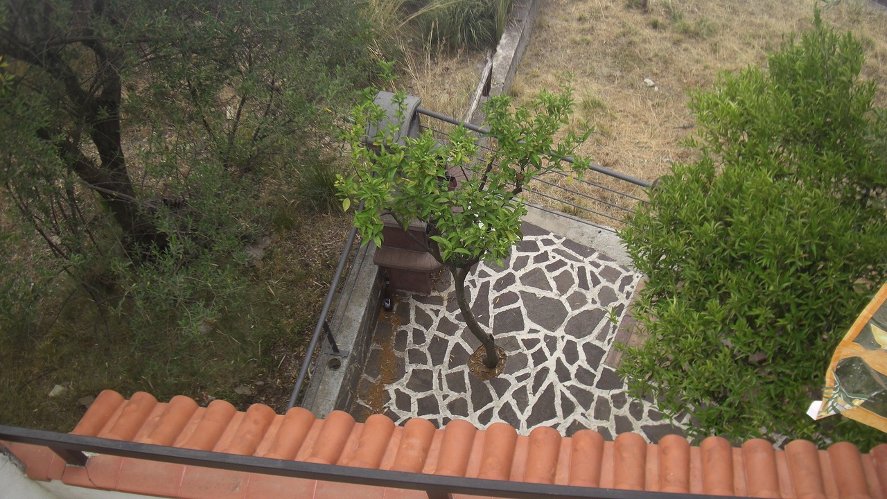 Photo of Outdoor in Marina di Pisciotta
