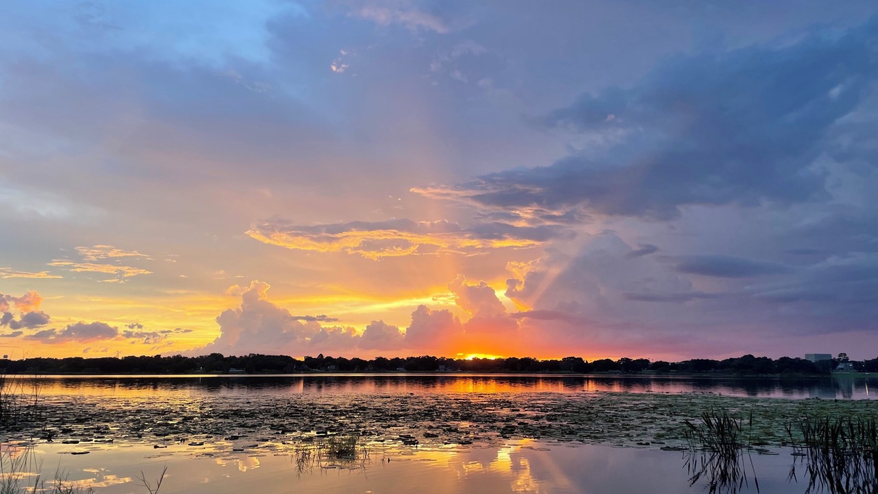 Photo of Outdoor in Winter Haven