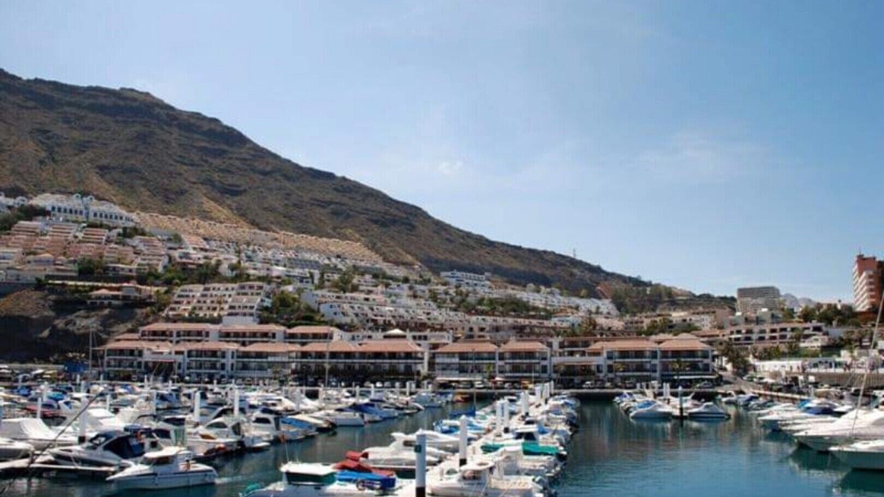 Photo of Others in Los Gigantes