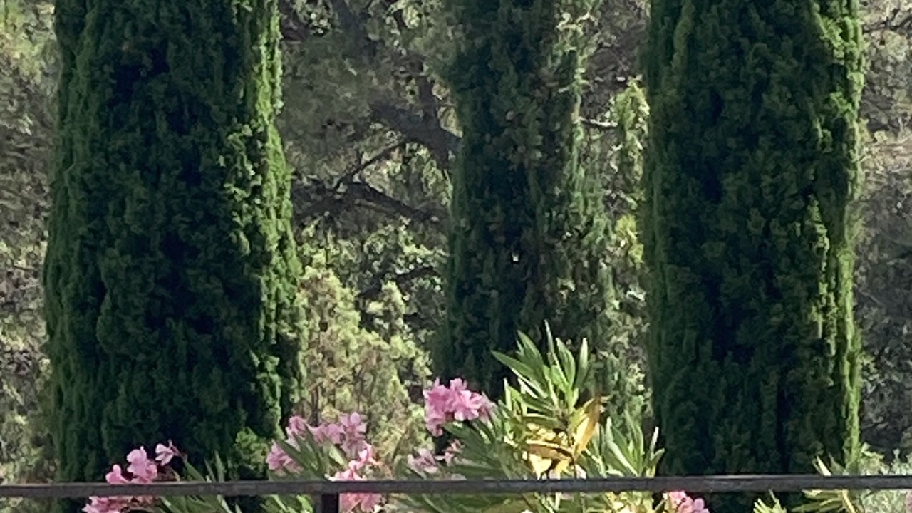 Photo of Outdoor in Signes