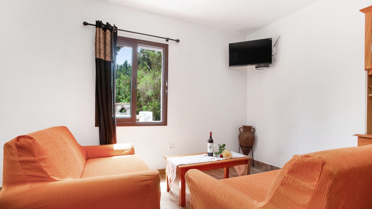 Photo of Livingroom in Icod de los Vinos