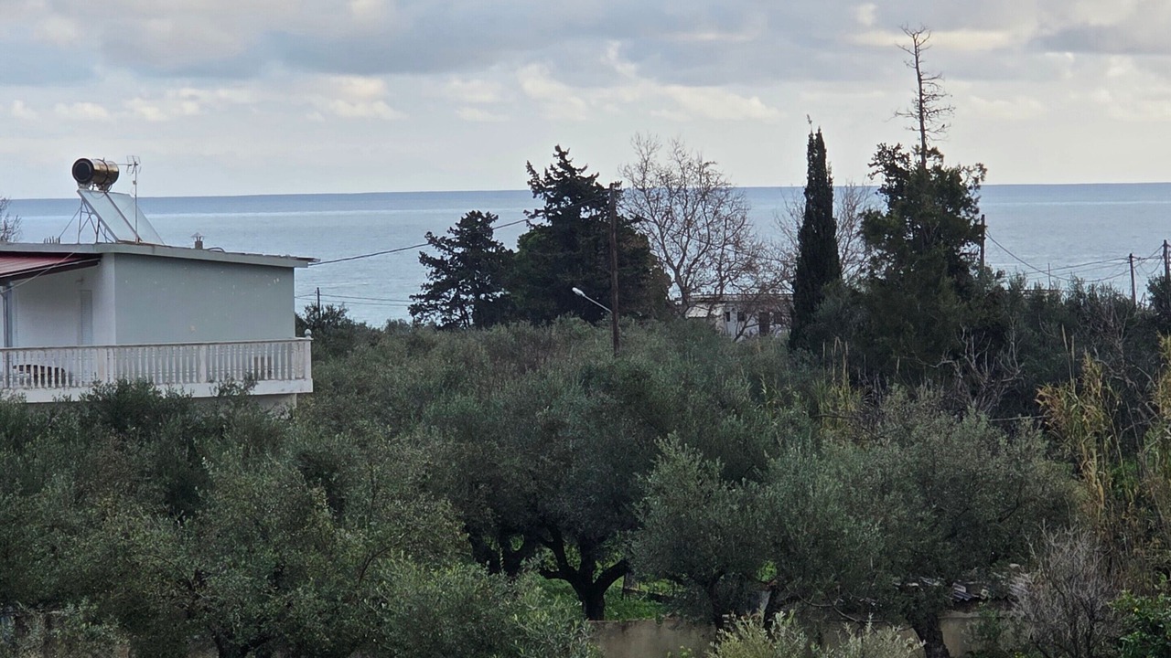 Photo of Others in Alikanas