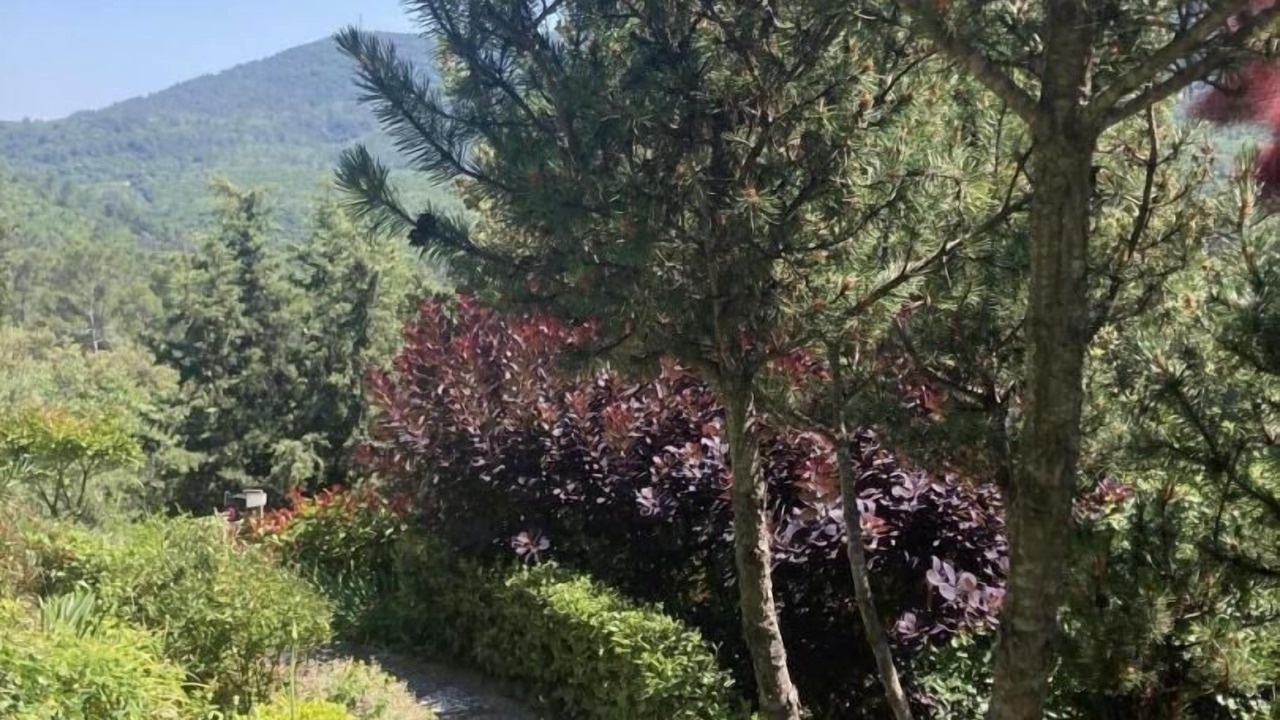 Photo of Outdoor in Meounes-les-Montrieux