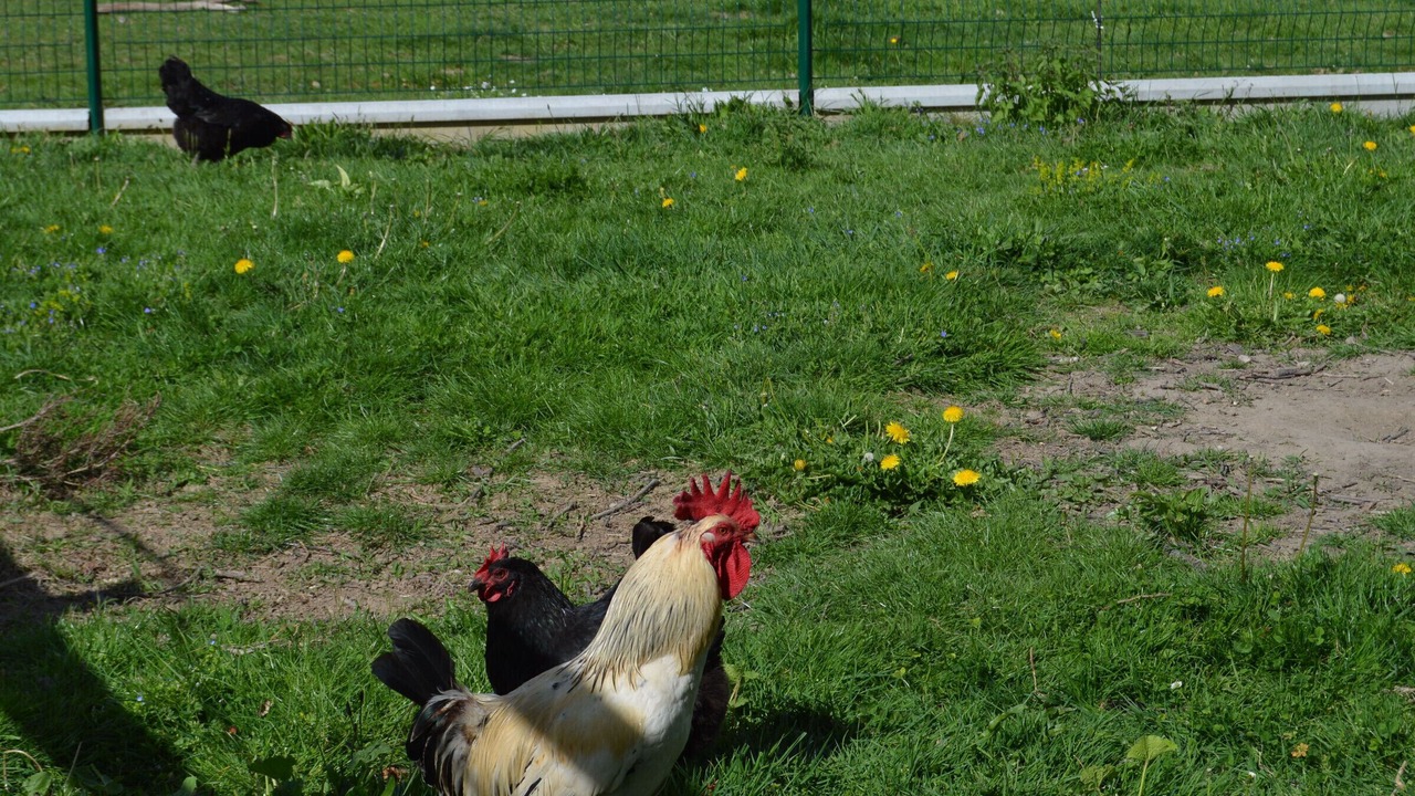 Photo of Outdoor in Perassay