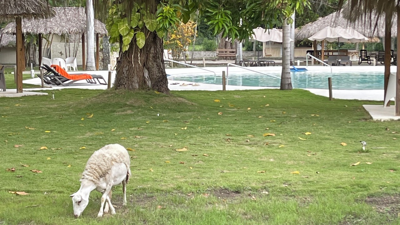 Photo of Outdoor in Nizao