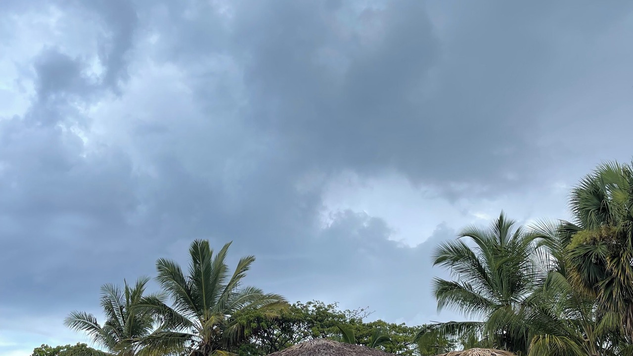 Photo of Outdoor in Nizao