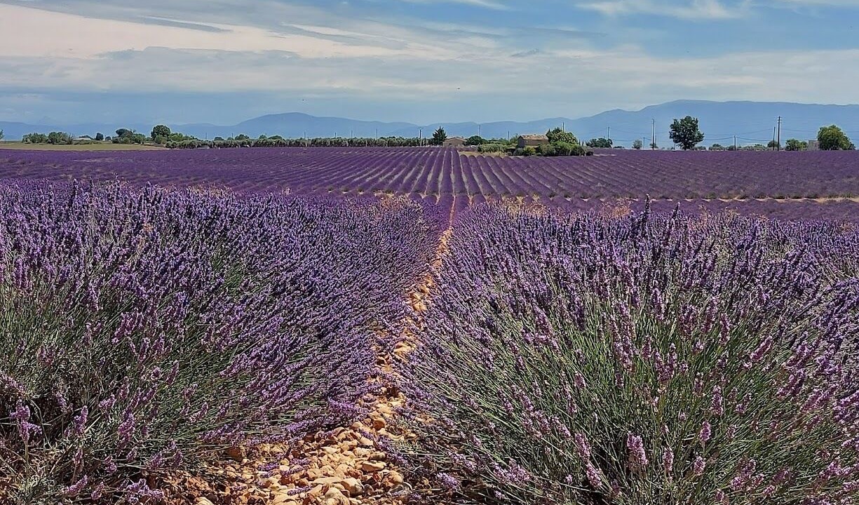 Photo of Outdoor in Le Castellet