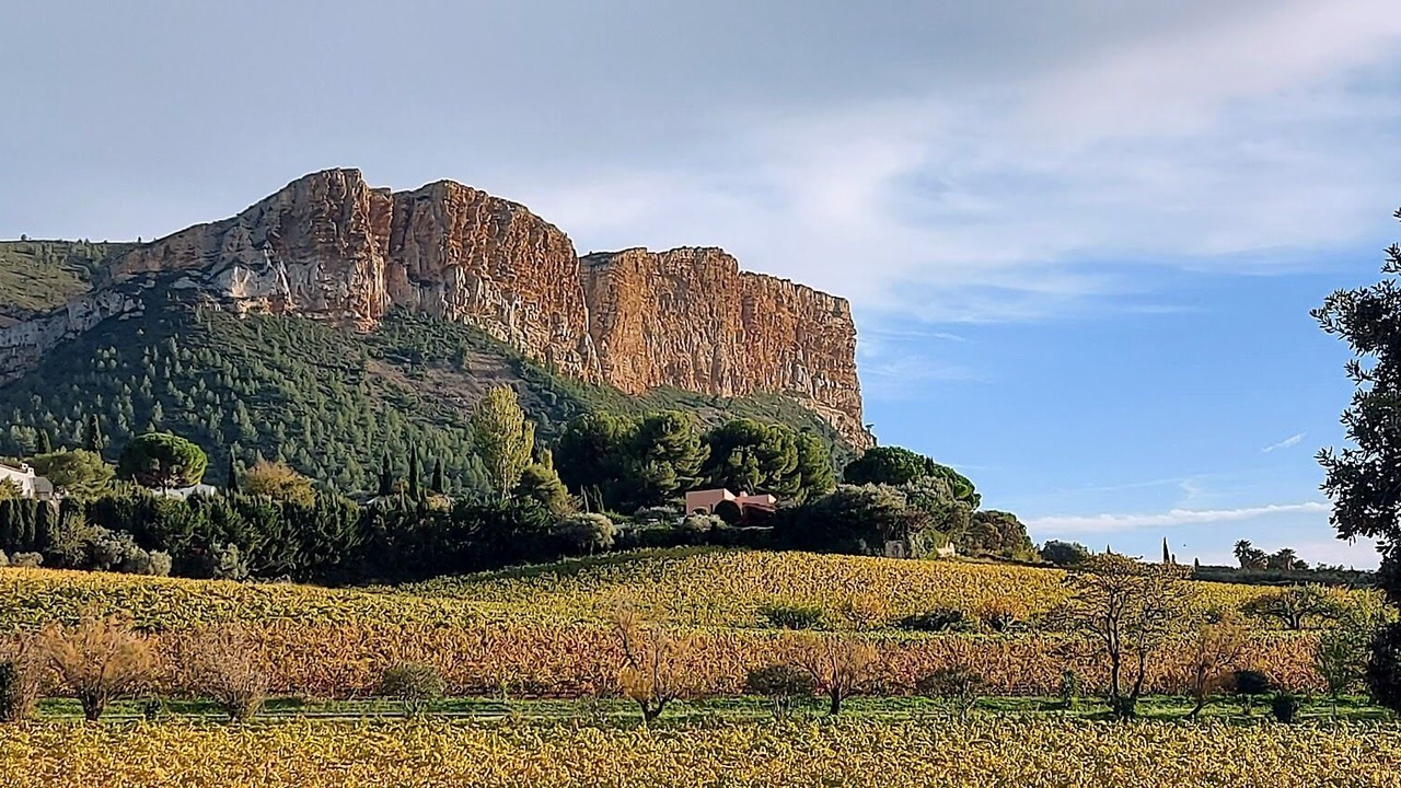 Photo of Outdoor in Le Castellet