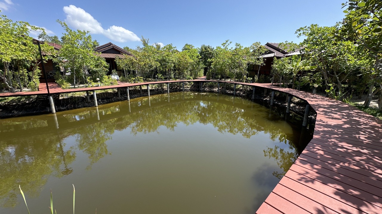 Photo of Outdoor in Chalong