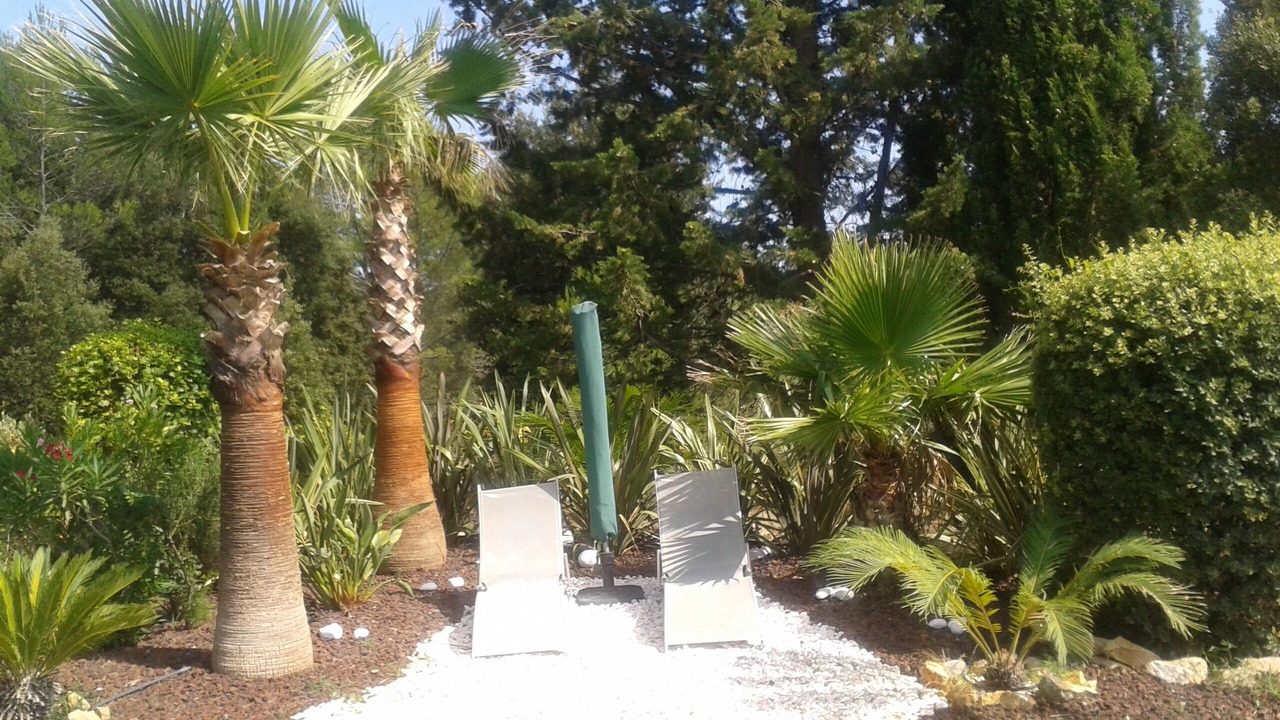 Photo of Outdoor in Taradeau